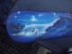 wasserfall blau auf snowboard -  tompaint - Airbrush auf  - Sonstiges - 