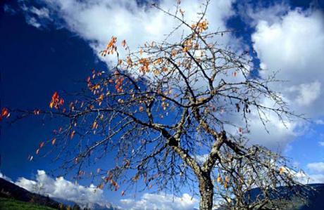 Wolken - Stimmung 01 -  C.Hillinger -  auf  - Array - 