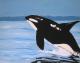 Orcinus orca - Askara Jinn - Acryl auf Leinwand - Sonstiges - 