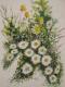 Blumen -  Uke BFA -  auf  - Blumen - 