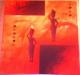 Hot Africa -  Haschberger - Acryl auf Leinwand - Sonstiges - 