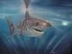 Great White -  NEPTUN - Ãl auf Leinwand - Sonstiges - 