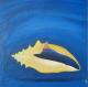 Phantasiemuschel - Karin Fricke - Acryl auf Leinwand - Sonstiges - 