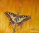 Schmetterling 2 (2006) - Steffi Schott -  auf Holz - Sonstiges - 