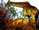 Giraffe - Timm-H. Wemper -  auf  - Sonstiges - 