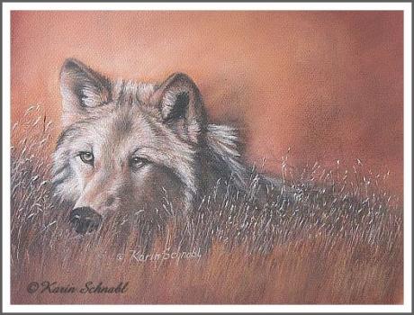 Autumn Wolf - Karin Schnabl - Array auf  - Array - 