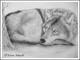 Resting Wolf - Karin Schnabl -  auf  - Sonstiges - 