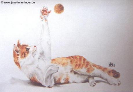 Katzen-Ball (1993) Janette Herlinger - Janette Herlinger - Array auf Array - Array - 