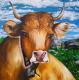 Happy Cow (2004) Dida (Diana Weisbender) -  Dida - Acryl auf Leinwand - Sonstiges - 