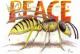 peace wasp (2003) Harald Ott - Harald Ott - Aquarell-Bleistift auf Papier - Sonstiges - 