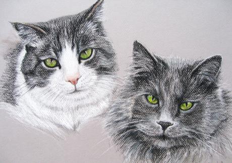 Katzenpaar - atelier zerah - Array auf Array - Array - Array Katzenpaar - atelier zerah - Array auf Array - Array - Array