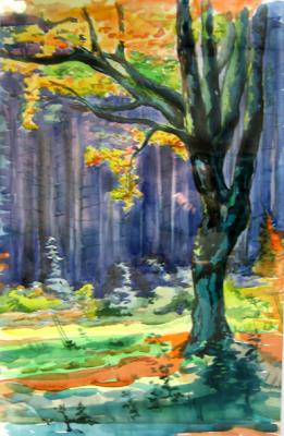 Rodebach - Mikhail Ustaev - Array auf Array - Array - Array Rodebach - Mikhail Ustaev - Array auf Array - Array - Array