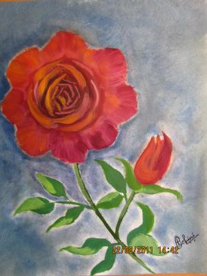 Rose  - Rohini Yalakkishettar - Array auf Array - Array - Array