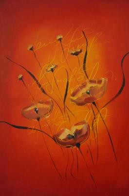 Mohnblumen - Belovolov Vladimir - auf Array - Array - Mohnblumen - Belovolov Vladimir - auf Array - Array -