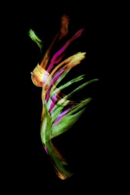 water color I - Oliver Plath - auf - Array - water color I - Oliver Plath - auf - Array -