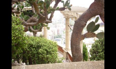 --- - Alexandra Heim - auf - Array - --- - Alexandra Heim - auf - Array -