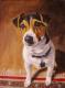 Paul - Heike MÃ¼ller - Ãl auf  - Hunde - Figuration-Fotorealismus-Realismus