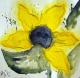 Sonnenblume_2 - Patricia Brockmann  - Aquarell-Mischtechnik auf Karton - Abstrakt-Sonnenblumen-Stillleben - Abstrakt