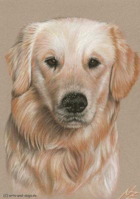 Golden Retriever - Nicole Zeug - Array auf  - Array - 