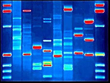Neues Kunstwerk - Markus Wille - auf - - Neues Kunstwerk - Markus Wille - auf - -