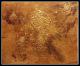Tanz der Sterne - monika allenbach - -Reliefs-Acryl-Mischtechnik auf Leinwand -  - 