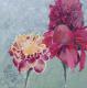 fackelingwer - Sabine Kaufmann - Acryl auf Leinwand - Blumen - 