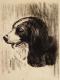 # 119 - edvard walker - auf - Hunde - # 119 - edvard walker - auf - Hunde -