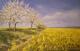 Sommer - Iurie Gancean - auf - Landschaft - Sommer - Iurie Gancean - auf - Landschaft -
