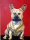 Bulldogge - Petr David - Acryl auf - - Bulldogge - Petr David - Acryl auf - -